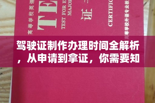 麻豆驾驶证制作办理时间全解析，从申请到拿证，你需要知道的一切