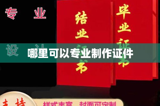 麻豆哪里可以专业制作证件