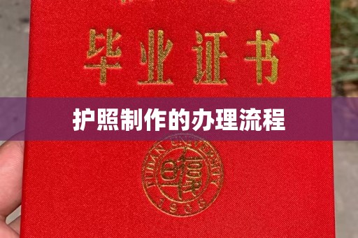 麻豆护照制作的办理流程