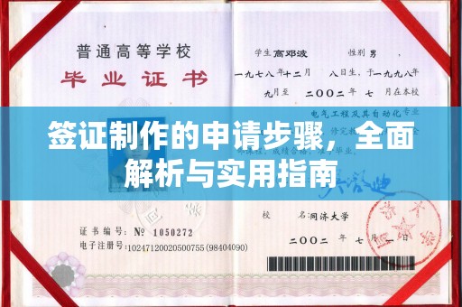 麻豆签证制作的申请步骤，全面解析与实用指南