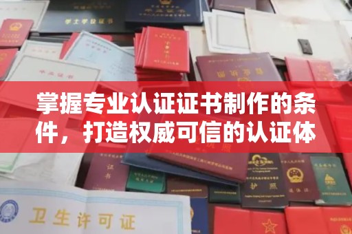 麻豆掌握专业认证证书制作的条件，打造权威可信的认证体系
