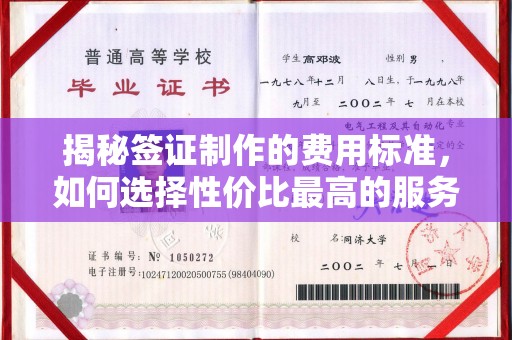 麻豆揭秘签证制作的费用标准，如何选择性价比最高的服务？