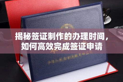 麻豆揭秘签证制作的办理时间，如何高效完成签证申请