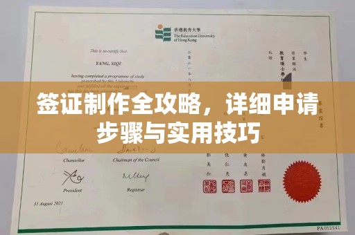 麻豆签证制作全攻略，详细申请步骤与实用技巧
