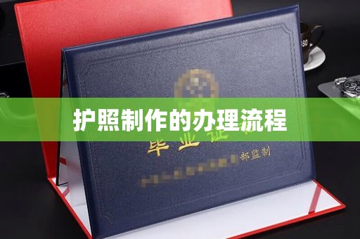 麻豆护照制作的办理流程