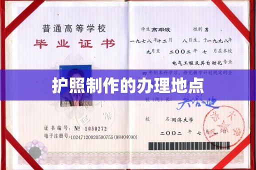 麻豆护照制作的办理地点
